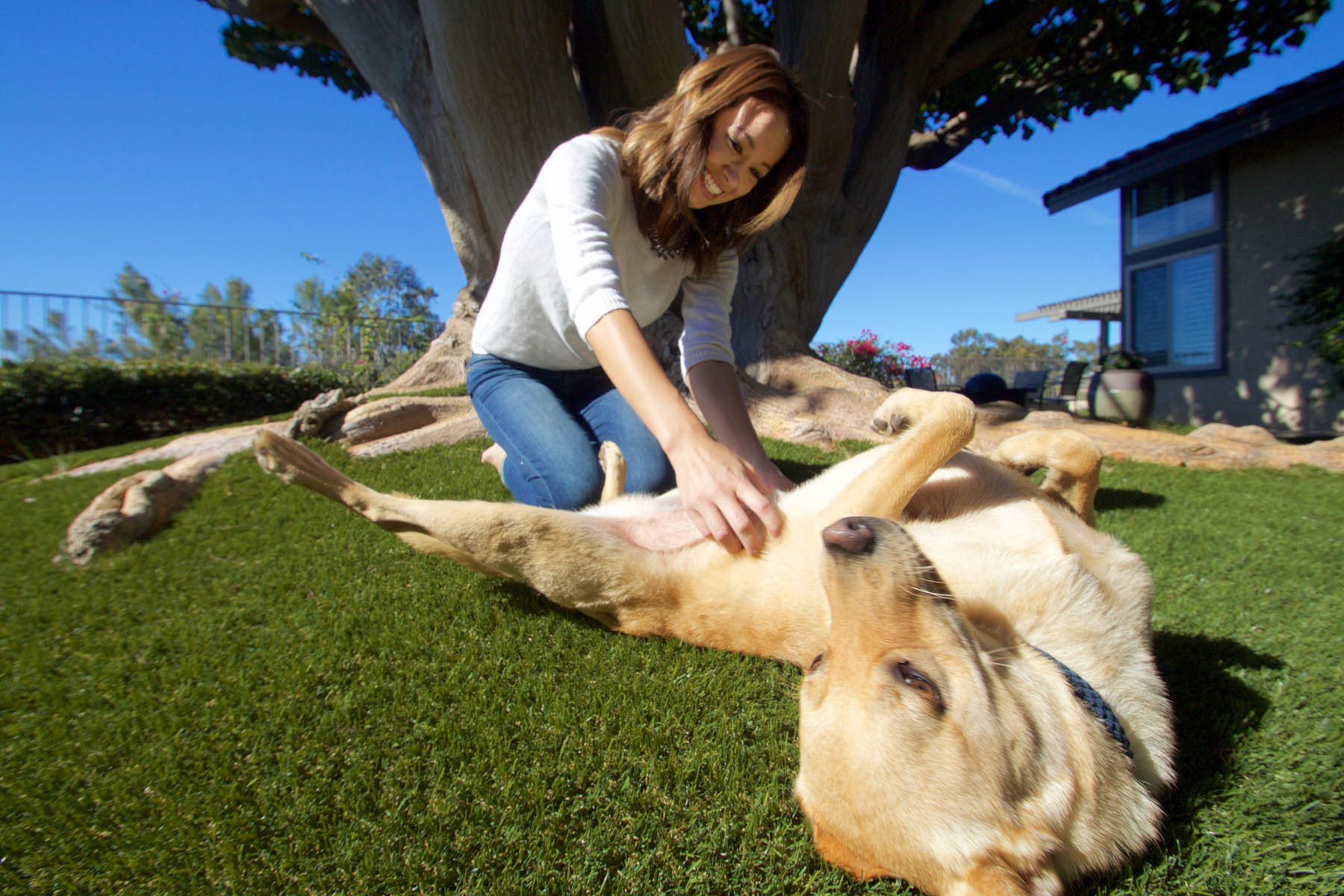 image of attractive woman petting dog on synlawn artificial grass