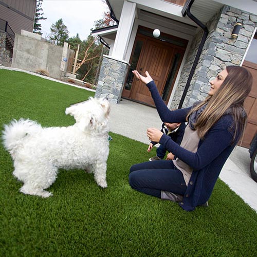 image of Pet friendly artificial grass for your furry friends available at SYNLawn Las Vegas