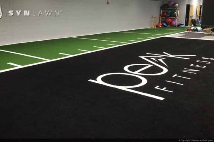 SynLawn Agility and Track Artificial grass